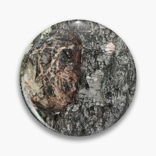 Item preview, birch burl, a growth on a tree trunk designed and sold by mrivserg.