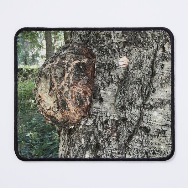 Item preview, birch burl, a growth on a tree trunk designed and sold by mrivserg.