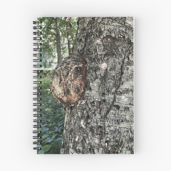 Item preview, birch burl, a growth on a tree trunk designed and sold by mrivserg.