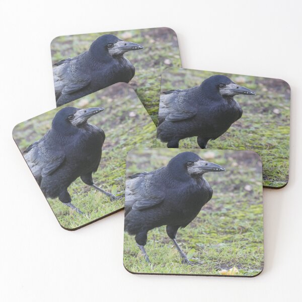Item preview, Rook designed and sold by LaurenTucker.