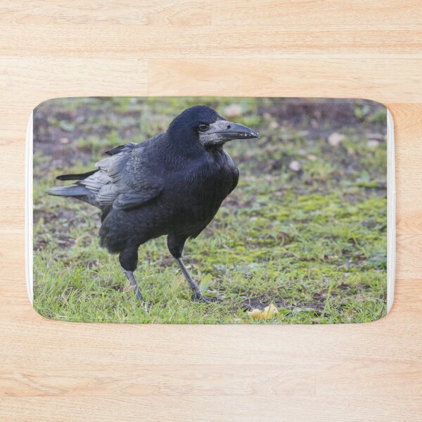Item preview, Rook designed and sold by LaurenTucker.