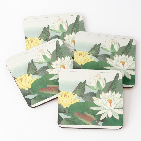 Item preview, Nymphaea alba botanical illustration designed and sold by Suzana Djordjevic.