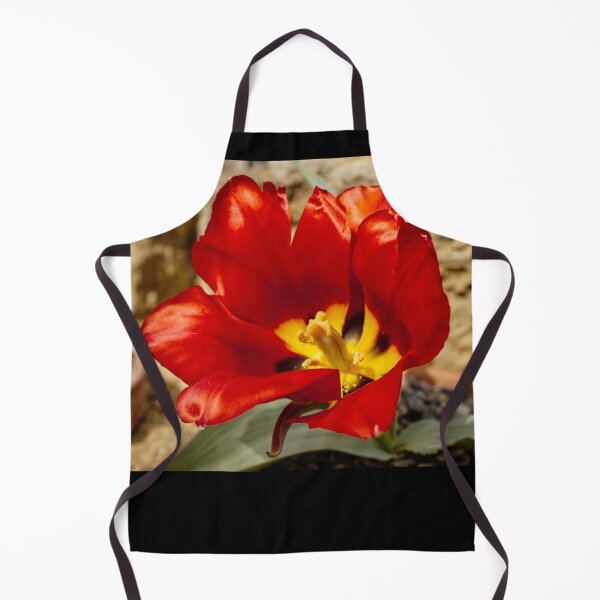 Item preview, Tulipa Agenensis - Eyed Tulip - RHS Garden Wisley - Surrey - English Gardens designed and sold by LucaRocchini.