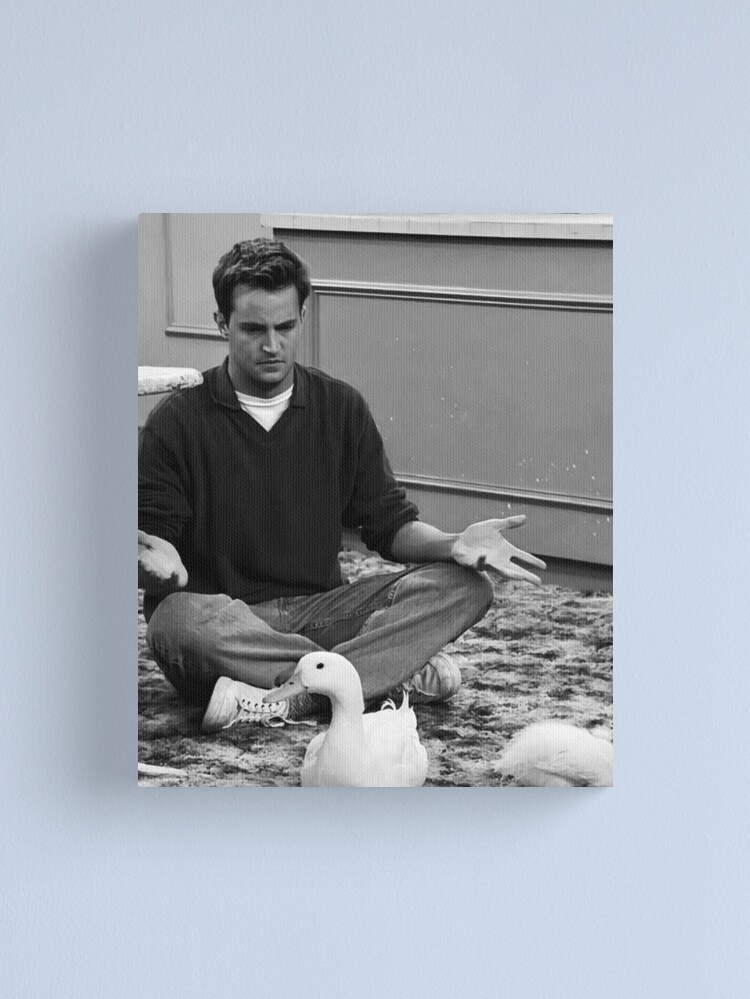 Disover Matthew Perry Canvas