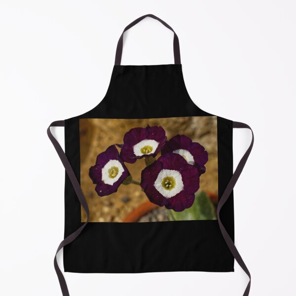 Item preview, Primula Auricula - Bear's Ear - RHS Garden Wisley - Surrey - English Gardens designed and sold by LucaRocchini.