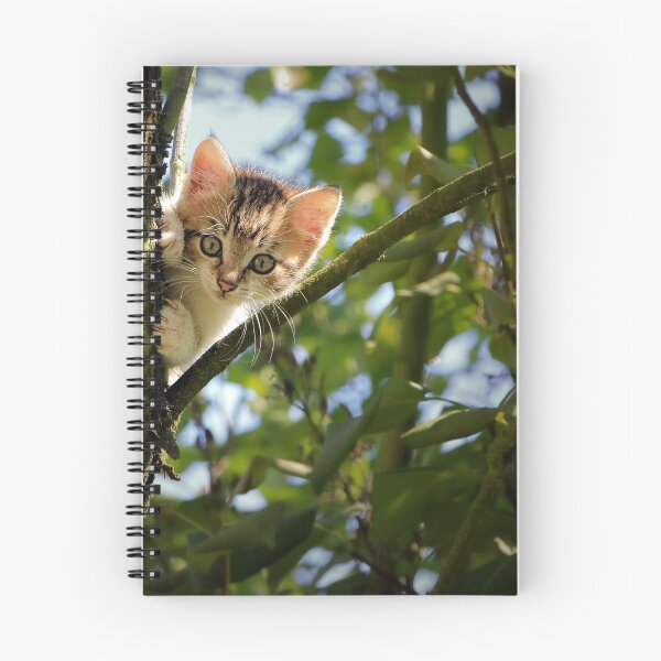 Item preview, Kitten in a Tree designed and sold by Dawn van Doorn.