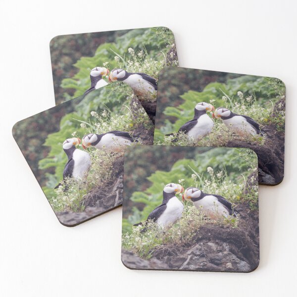Item preview, Two Puffins on a Rock Alaska designed and sold by PhotoArt by Joan Carroll.
