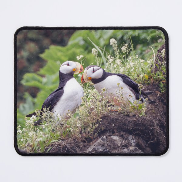 Item preview, Two Puffins on a Rock Alaska designed and sold by PhotoArt by Joan Carroll.