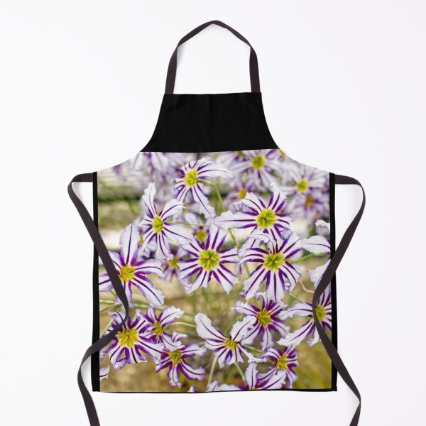 Item preview, Leucocoryne Vittata - Andean Glory of the Sun Lily - RHS Garden Wisley - Surrey - English Gardens designed and sold by LucaRocchini.