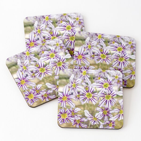 Item preview, Leucocoryne Vittata - Andean Glory of the Sun Lily - RHS Garden Wisley - Surrey - English Gardens designed and sold by LucaRocchini.