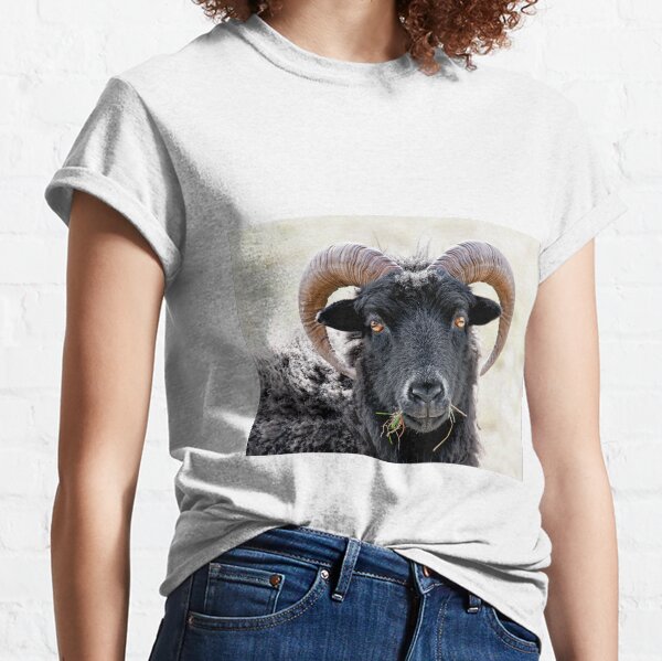 Black Sheep "Eye to Eye Contact" Hebridean Sheep Classic T-Shirt