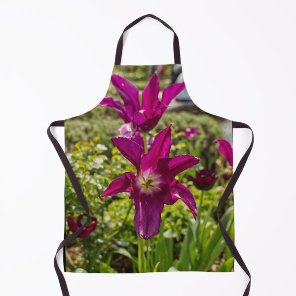 Item preview, Tulipa Gesneriana - Didier's Tulip - RHS Garden Wisley - Surrey - English Gardens designed and sold by LucaRocchini.