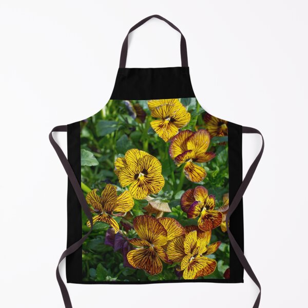 Item preview, Viola × Wittrockiana - Garden Pansy - RHS Garden Wisley - Surrey - English Gardens designed and sold by LucaRocchini.