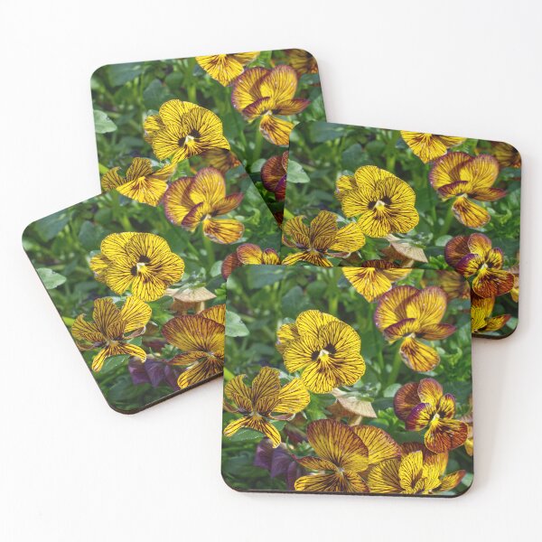 Item preview, Viola × Wittrockiana - Garden Pansy - RHS Garden Wisley - Surrey - English Gardens designed and sold by LucaRocchini.
