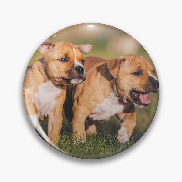 Aperçu de l'œuvre chiots créée et vendue par WeightPulling.