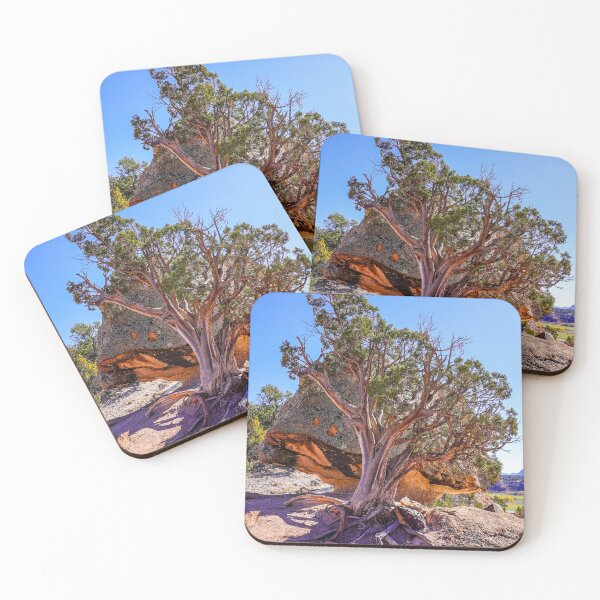 Item preview, Bristlecone and Boulder designed and sold by Julie Navitka.