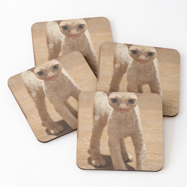 Item preview, Devon Rex Kitten designed and sold by AnthonyThomas.