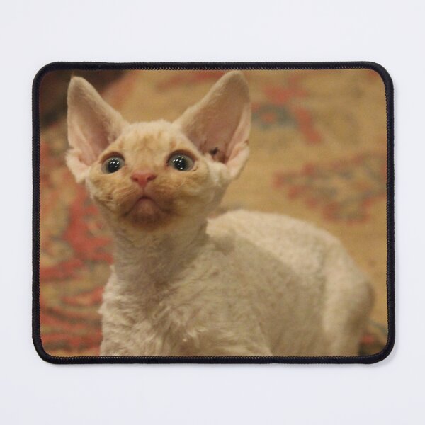 Item preview, Devon Rex  designed and sold by AnthonyThomas.