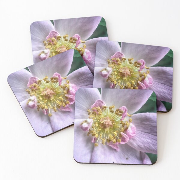 Item preview, Pink And Delicate designed and sold by Jason Tompkins.