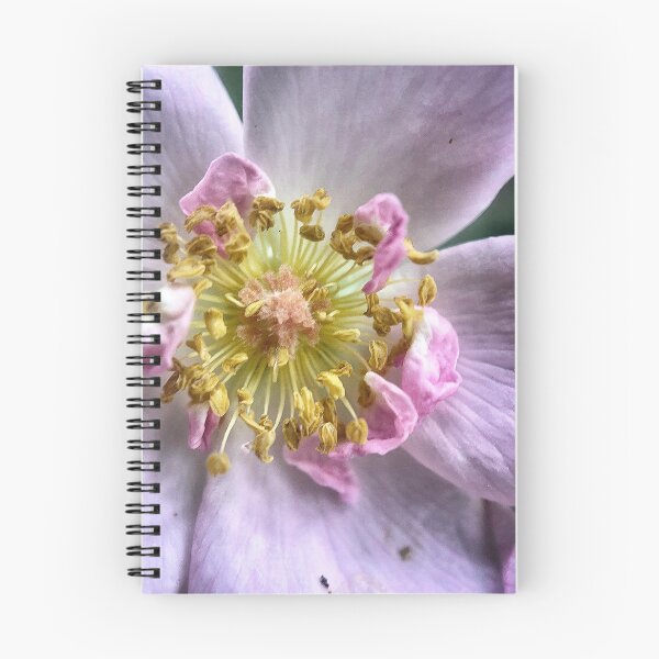 Item preview, Pink And Delicate designed and sold by Jason Tompkins.