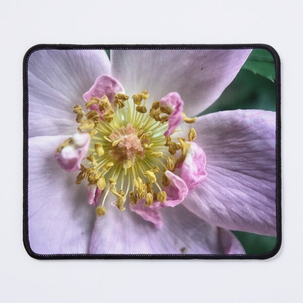 Item preview, Pink And Delicate designed and sold by Jason Tompkins.