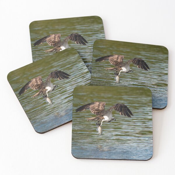 Item preview, Águila pescadora oriental con su captura del día designed and sold by Ozjanette90.