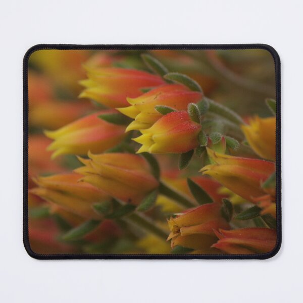 Item preview, Succulent Flower designed and sold by Kim Chi Thai.