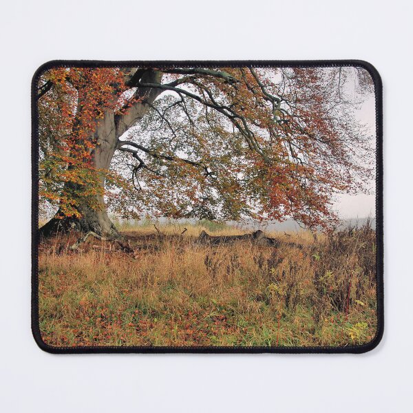 Item preview, Beech Tree in Autumn designed and sold by Lindamell.