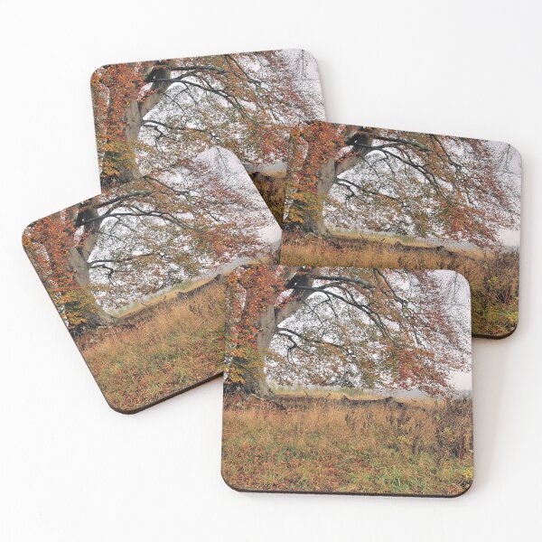 Item preview, Beech Tree in Autumn designed and sold by Lindamell.