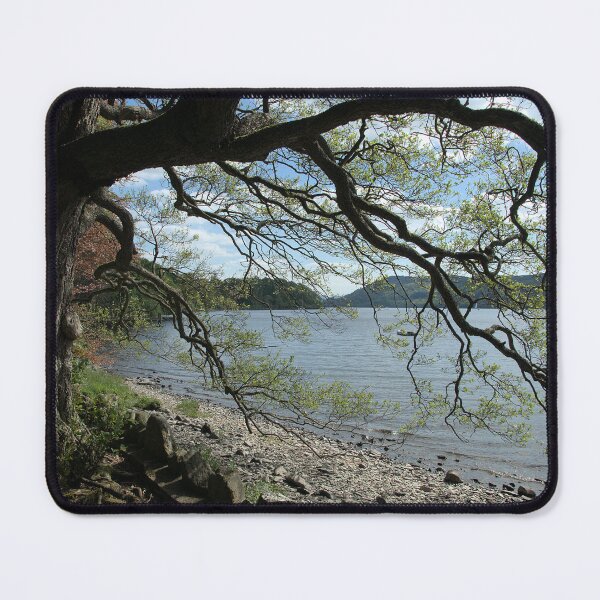 Item preview, Tree By The Lake designed and sold by Lindamell.