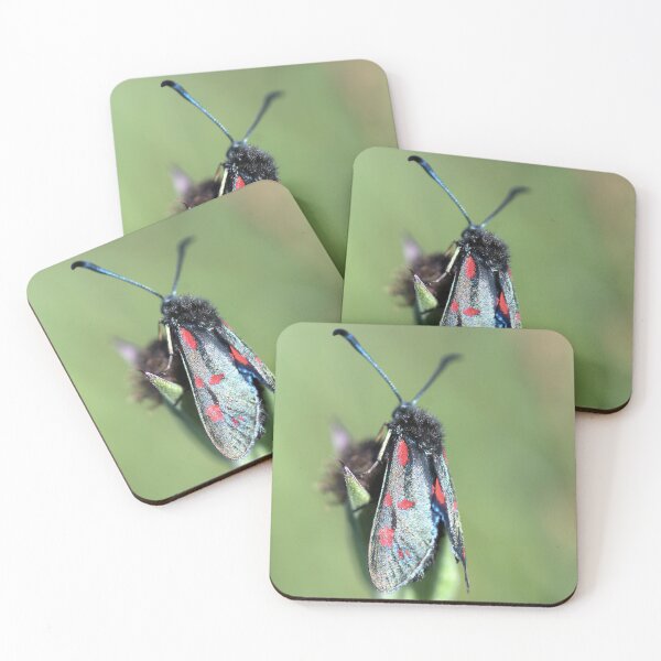 Item preview, Burnet Moth designed and sold by Lindamell.
