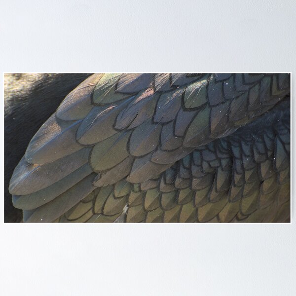 Item preview, Plumage Detail designed and sold by Lindamell.