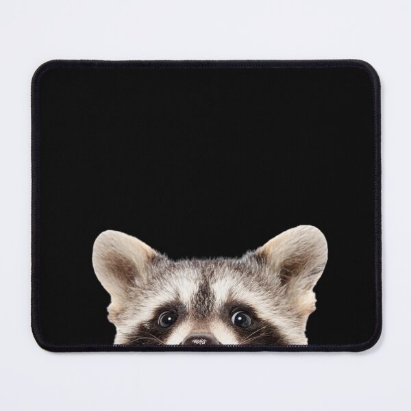 Item preview, Racoon Pet Funny Window Sticker designed and sold by windowdecals.