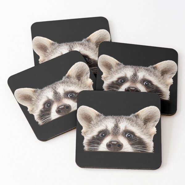 Item preview, Racoon Pet Funny Window Sticker designed and sold by windowdecals.