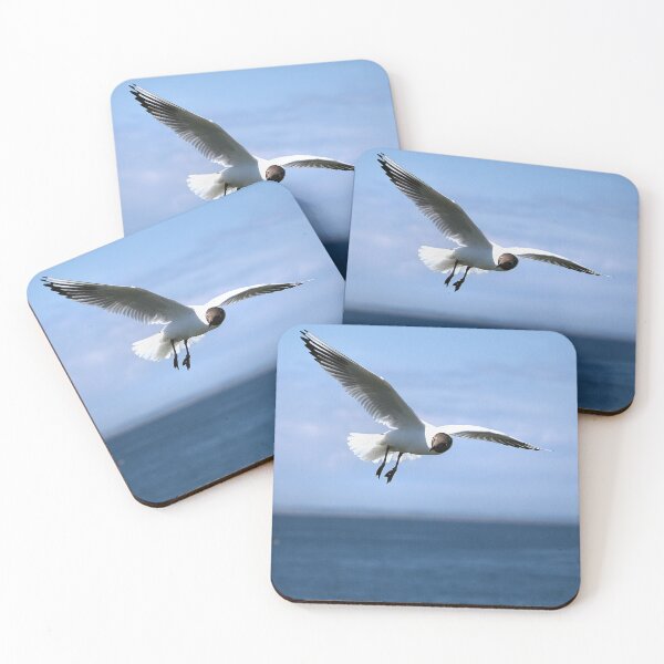 Item preview, Black Headed Gull designed and sold by Lindamell.