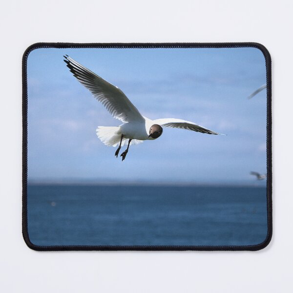 Item preview, Black Headed Gull designed and sold by Lindamell.