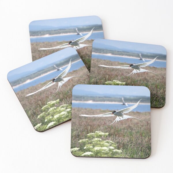 Item preview, Arctic Tern-Sterna paradisaea designed and sold by Lindamell.