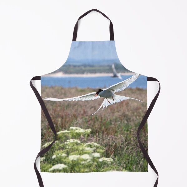 Item preview, Arctic Tern-Sterna paradisaea designed and sold by Lindamell.