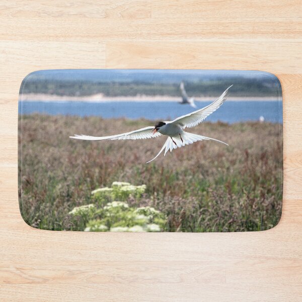 Item preview, Arctic Tern-Sterna paradisaea designed and sold by Lindamell.