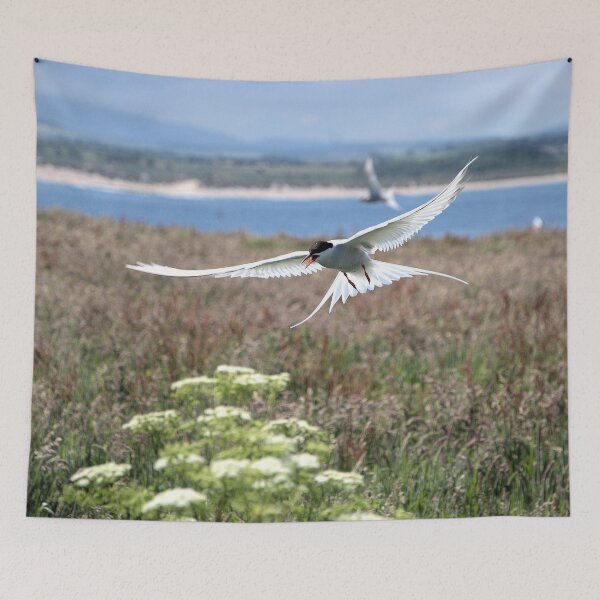 Item preview, Arctic Tern-Sterna paradisaea designed and sold by Lindamell.