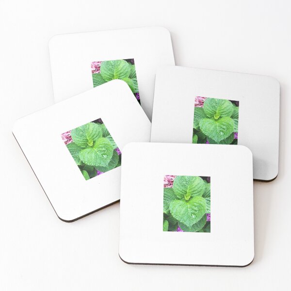 Item preview, Dew Drops on Vibrant Green Leaves designed and sold by emscaroline.