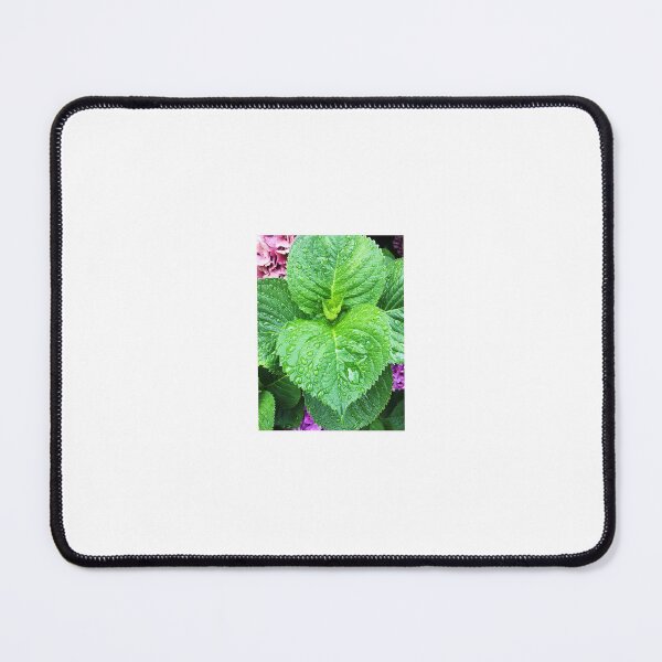 Item preview, Dew Drops on Vibrant Green Leaves designed and sold by emscaroline.