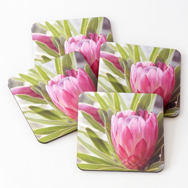 Item preview, Tones of the Protea designed and sold by imaginethis.