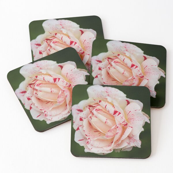 Item preview, Rosy designed and sold by Kim Chi Thai.
