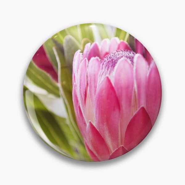 Item preview, Tones of the Protea designed and sold by imaginethis.