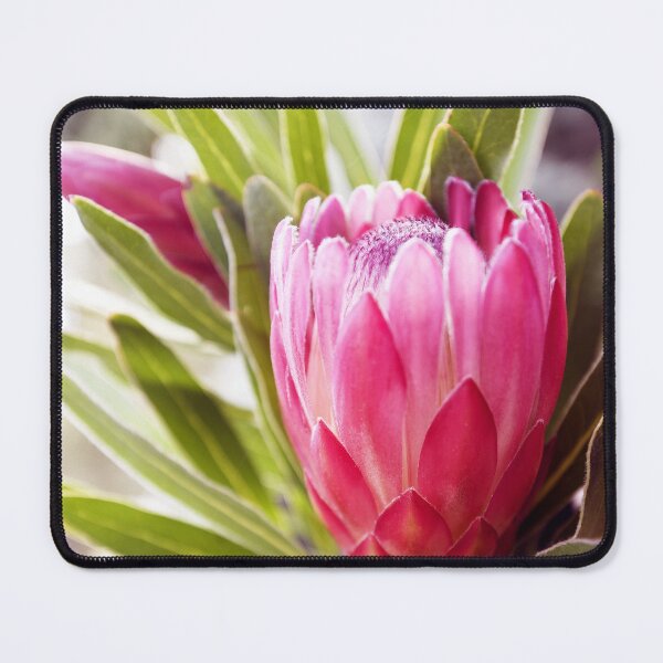 Item preview, Tones of the Protea designed and sold by imaginethis.