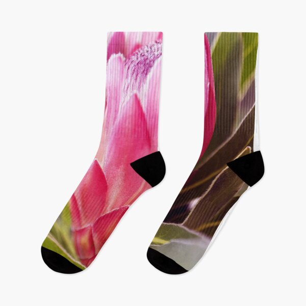 Item preview, Tones of the Protea designed and sold by imaginethis.