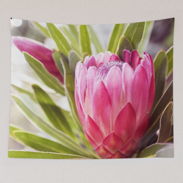 Item preview, Tones of the Protea designed and sold by imaginethis.