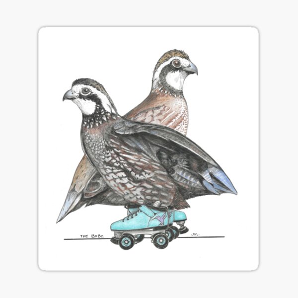 Item preview, Bobwhite in Joggers designed and sold by JimsBirds.
