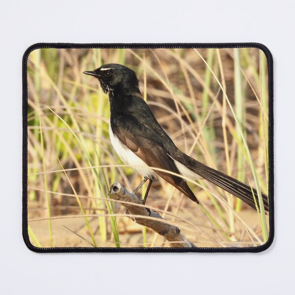 Item preview, Willy Wagtail on the lookout designed and sold by Mark Grimsley.